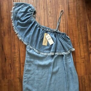 Splendid Denim Dress